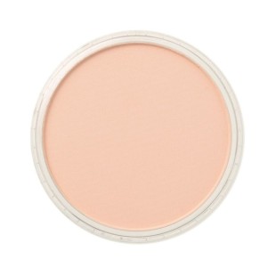 Пастель сухая "PanPastel" 380.8 Red Iron Oxide Tint (Ржавый светлый) PP23808