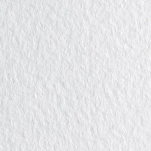 Лист бумаги для пастели Fabriano "Tiziano" 50x65см, 160гр/м², Bianco,белый (52551001)