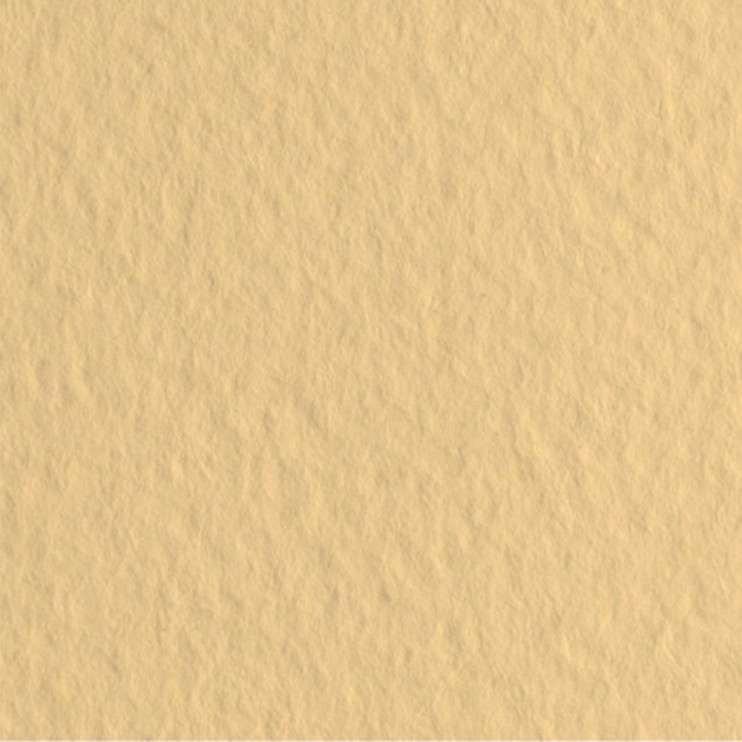 Лист бумаги для пастели Fabriano "Tiziano" 50x65см, 160гр/м², Zabaione,насыщенный кремовый (52551005)