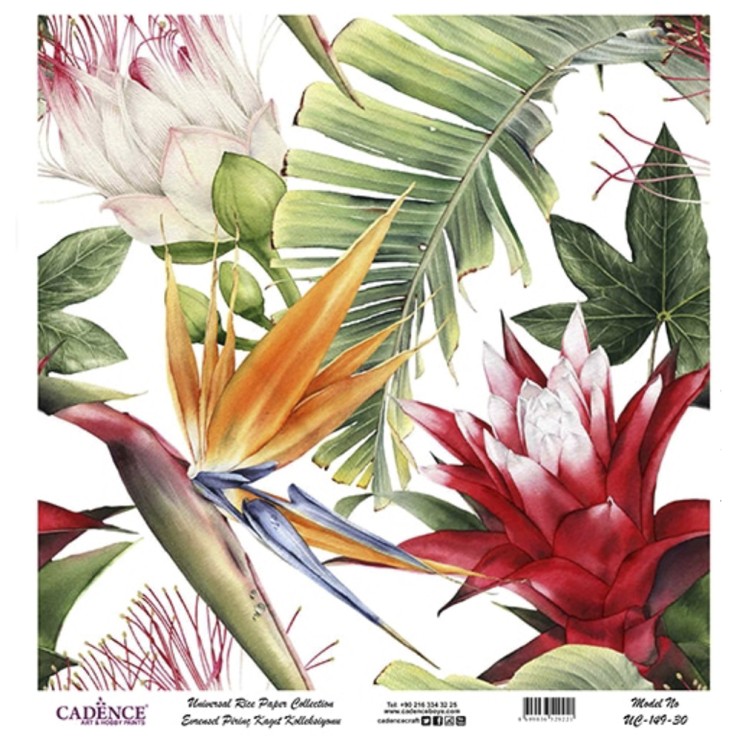 Рисовая карта "White Background" 30х30см, UC149 тропические цветы