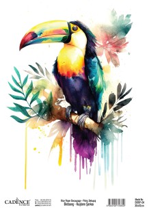 Рисовая декупажная карта "Cadence" 30х42см, BRRP-04