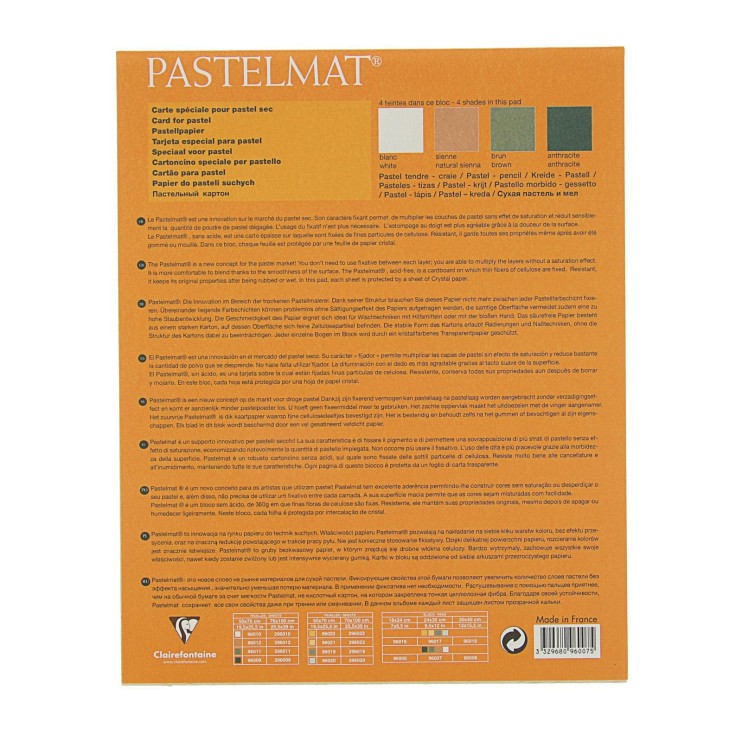 Блок бумаги для пастели Clairefontaine "Pastelmat" 24х30, 12л, 360гр/м, 4 цвета (96007С)