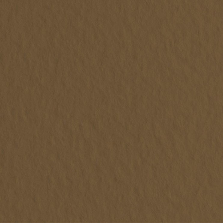 Лист бумаги для пастели Fabriano "Tiziano" 50x65см, 160гр/м², Caffè,кофейный (52551009)