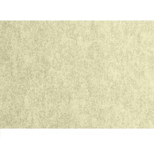 Лист бумаги пергаментной Fabriano "Pergamon" 70х100, 160гр/м², слоновая кость