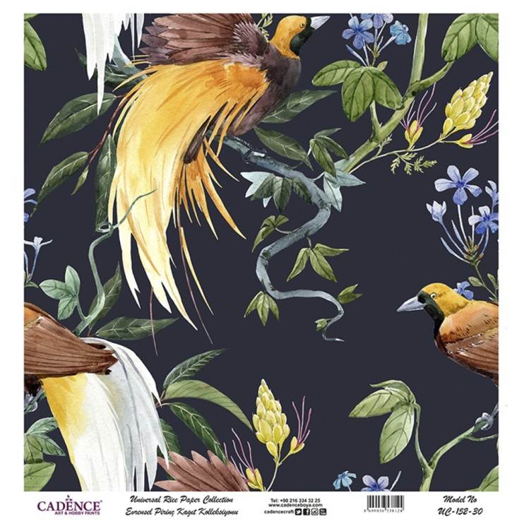 Рисовая карта "Black Ground" 30х30см, UC152 птицы на черном