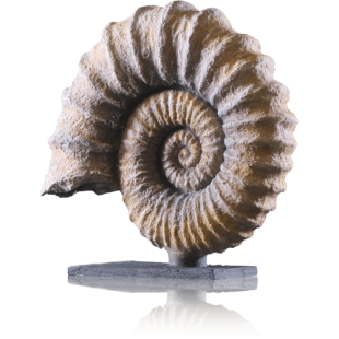 Рельефная паста "Zeugma Stone Effect" 150мл, 111 Poseidon