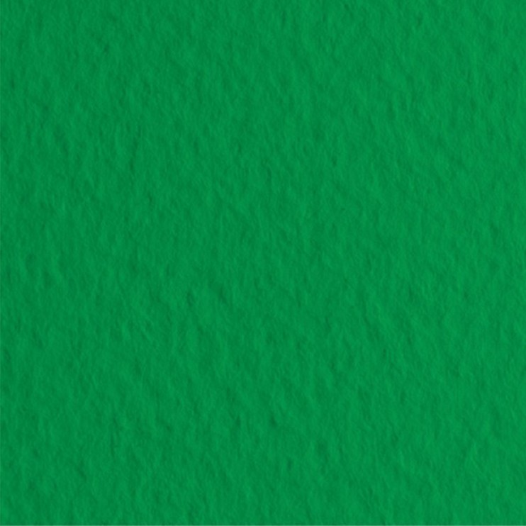 Лист бумаги для пастели Fabriano "Tiziano" 50x65см, 160гр/м², Prato,зеленый (52551012)