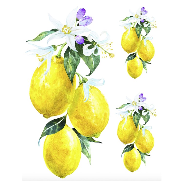 Трансфер "Transfer Collection" 25х35см, UTC0023