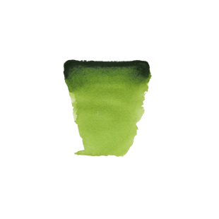 Краска акварельная "Van Gogh" 623 Зеленый травяной (кювета)