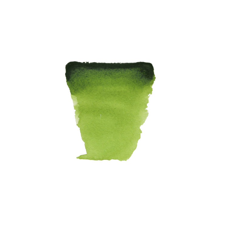 Краска акварельная "Van Gogh" 623 Зеленый травяной (кювета)