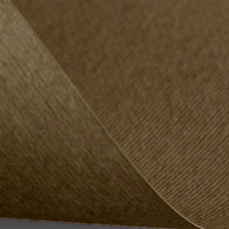 Лист цветной бумаги Fabriano Elle Erre 220г/м2 50x70 Коричневый