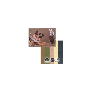 Планшет для пастели Гознак "Теплые цвета" А2  ,15 л. ,5 цветов , 160гр/м²