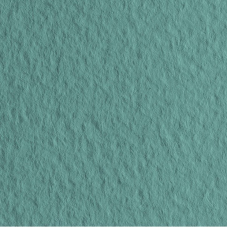 Лист бумаги для пастели Fabriano "Tiziano" 21x29,7см, 160гр/м², Salvia,сальвия (21297113)