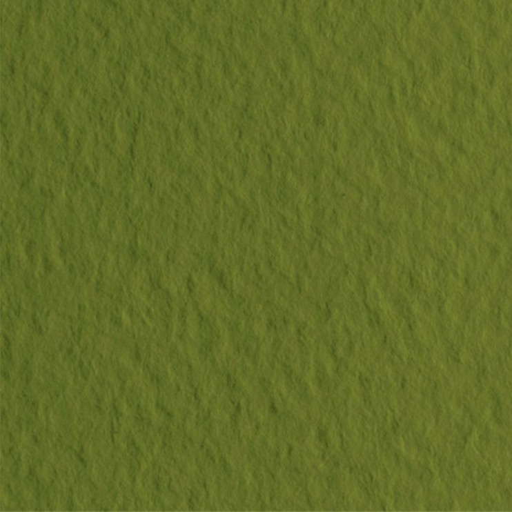 Лист бумаги для пастели Fabriano "Tiziano" 21x29,7см, 160гр/м², Muschio,оливковый (21297114)