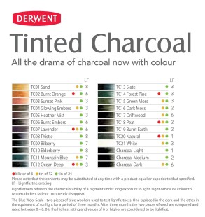 Набор угольных карандашей Derwent "Tinted Charcoal" 24 штуки в металлическом пенале (2301691)