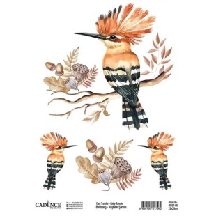 Трансфер BRET-06 25х35см, шт