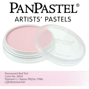 Пастель сухая "PanPastel" 340.8 Стойкий красный светлый (Permanent Red Tint) PP23408